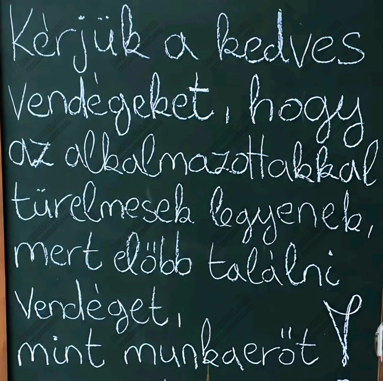 BLANKA levezetes profil kepes profil - levezetes.hu BLANKA - +36 30 534 6566 - levezetes foto